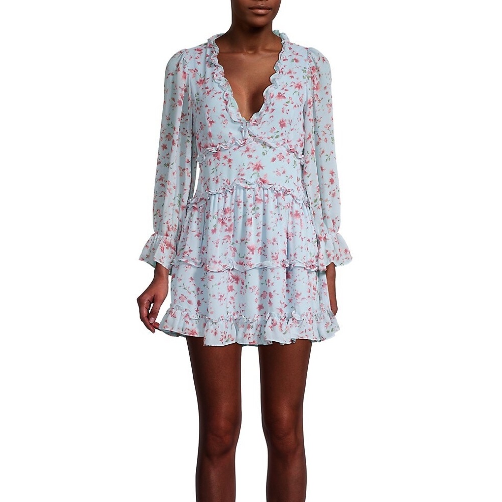 NWT Cistar New York gorgeous Floral Ruffle A-line mini dress